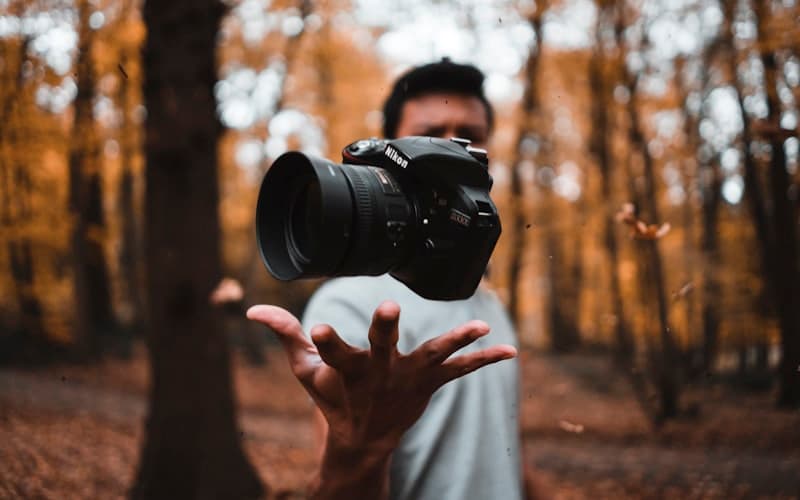 How to Crop an Image Without Losing Quality